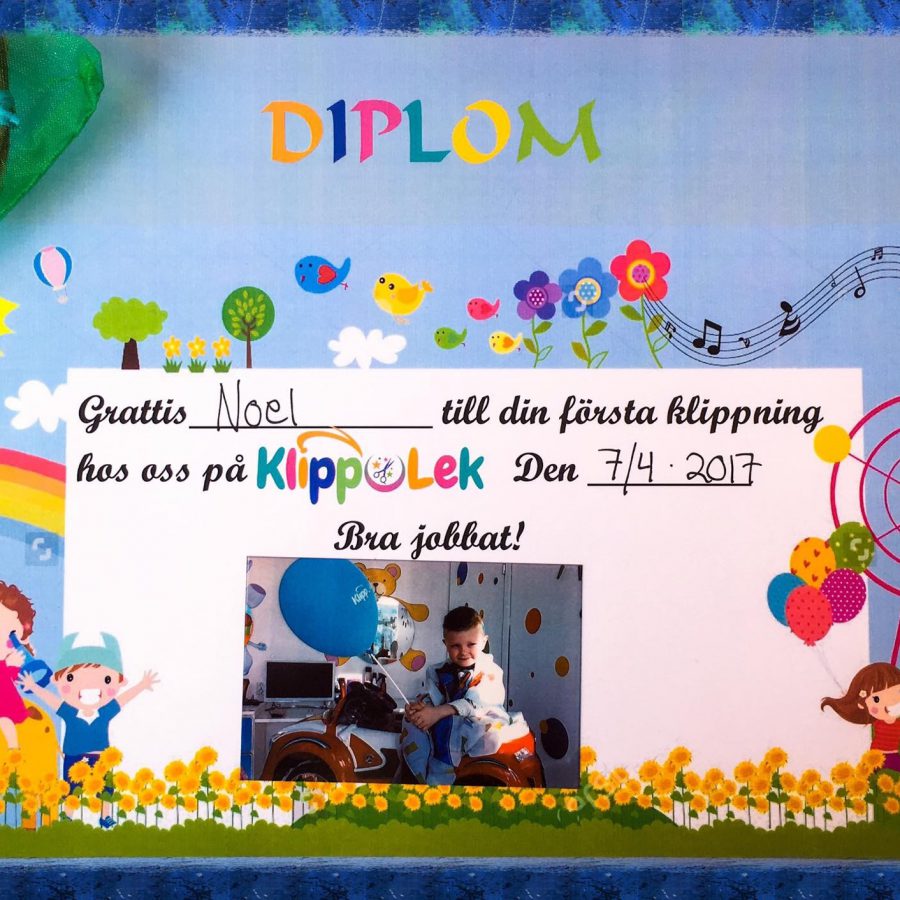 diplom diplom